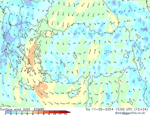 Surface wind (bft) ECMWF So 11.05.2024 12 UTC