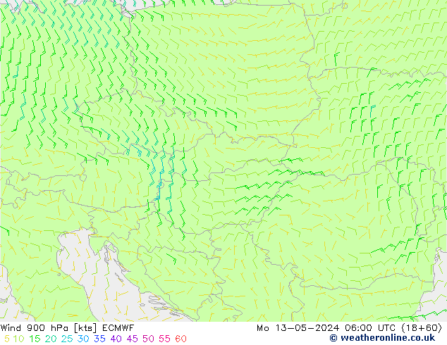 Wind 900 hPa ECMWF Mo 13.05.2024 06 UTC