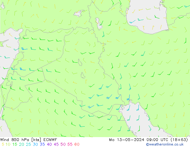 Rüzgar 850 hPa ECMWF Pzt 13.05.2024 09 UTC