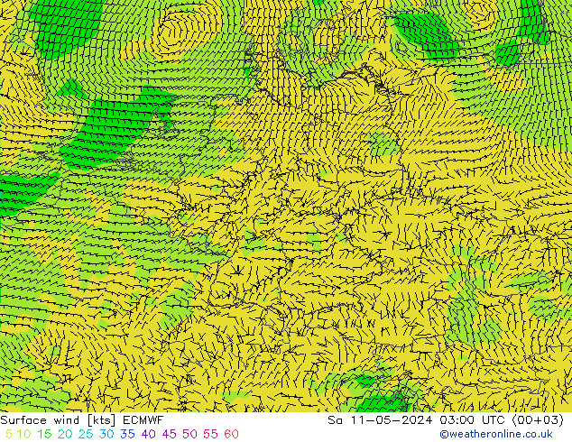 风 10 米 ECMWF 星期六 11.05.2024 03 UTC