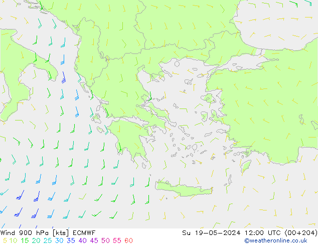 Vent 900 hPa ECMWF dim 19.05.2024 12 UTC
