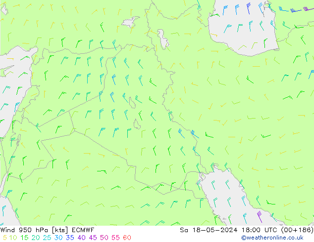 Rüzgar 950 hPa ECMWF Cts 18.05.2024 18 UTC