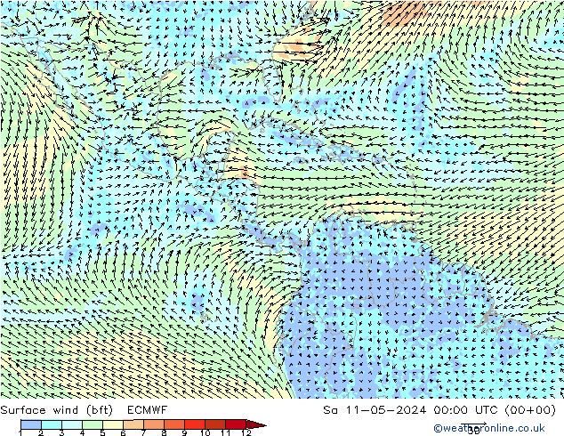 Surface wind (bft) ECMWF Sa 11.05.2024 00 UTC