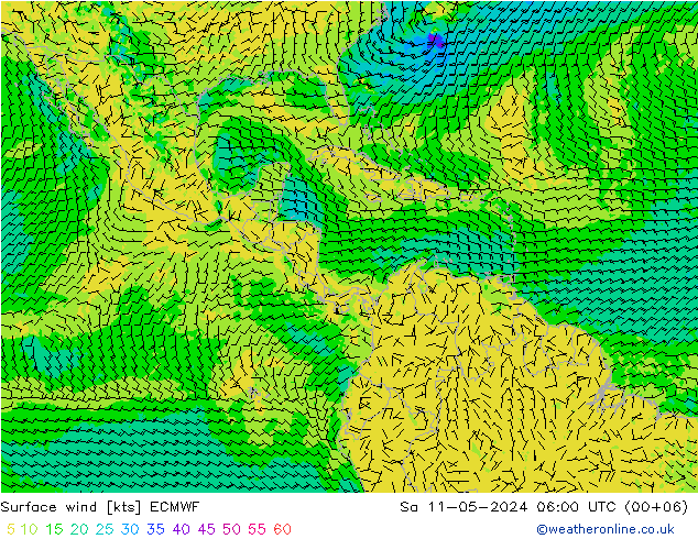 Surface wind ECMWF So 11.05.2024 06 UTC