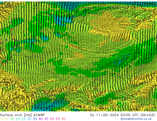 Wind 10 m ECMWF za 11.05.2024 03 UTC