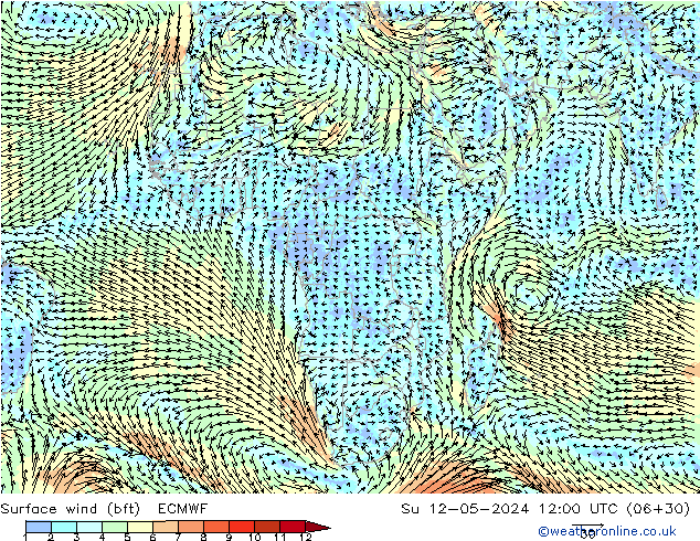 Surface wind (bft) ECMWF Su 12.05.2024 12 UTC