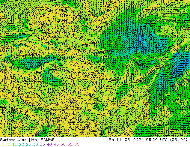 风 10 米 ECMWF 星期六 11.05.2024 06 UTC