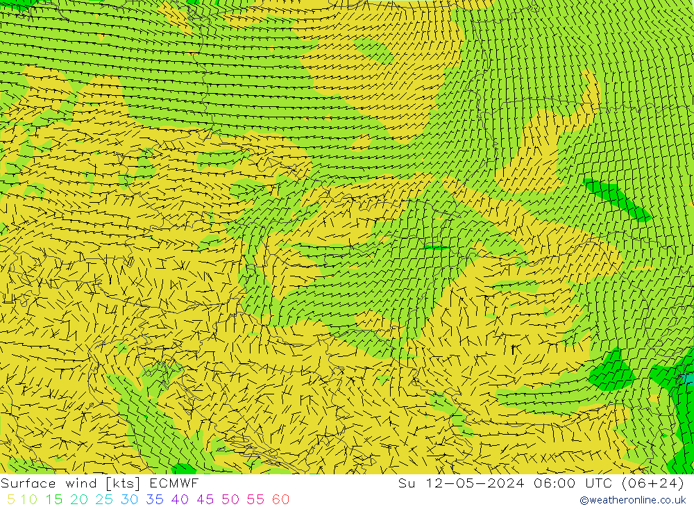 Surface wind ECMWF Ne 12.05.2024 06 UTC