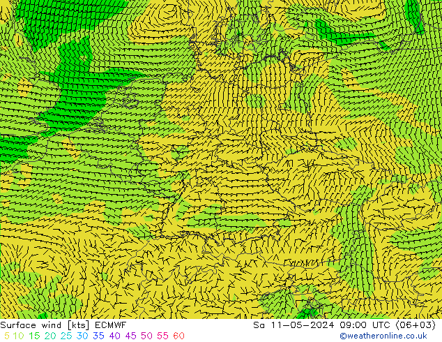 风 10 米 ECMWF 星期六 11.05.2024 09 UTC