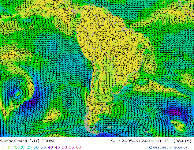 Wind 10 m ECMWF zo 12.05.2024 00 UTC