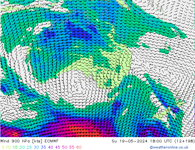 Rüzgar 900 hPa ECMWF Paz 19.05.2024 18 UTC