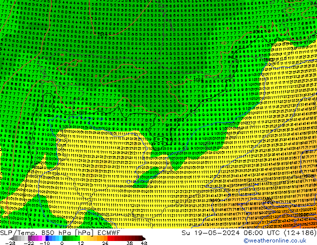 SLP/Temp. 850 hPa ECMWF Dom 19.05.2024 06 UTC