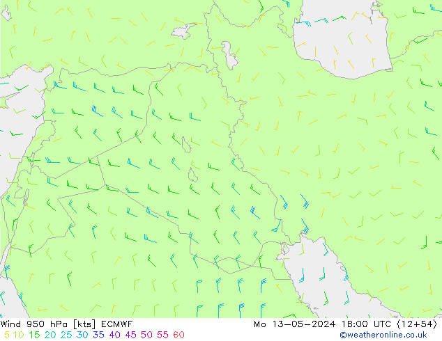 ветер 950 гПа ECMWF пн 13.05.2024 18 UTC