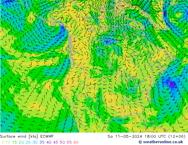 风 10 米 ECMWF 星期六 11.05.2024 18 UTC