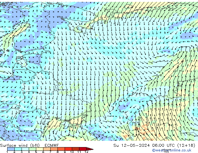 Surface wind (bft) ECMWF Su 12.05.2024 06 UTC