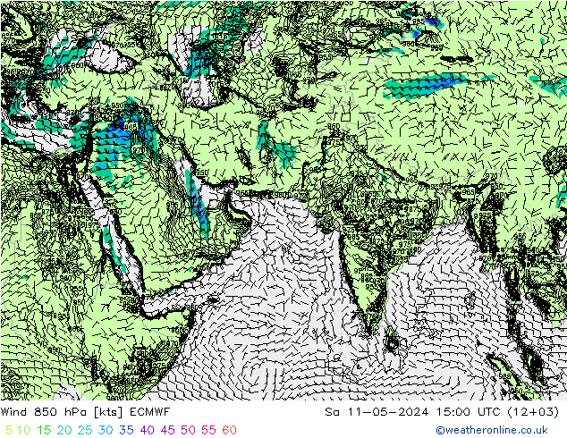 风 850 hPa ECMWF 星期六 11.05.2024 15 UTC