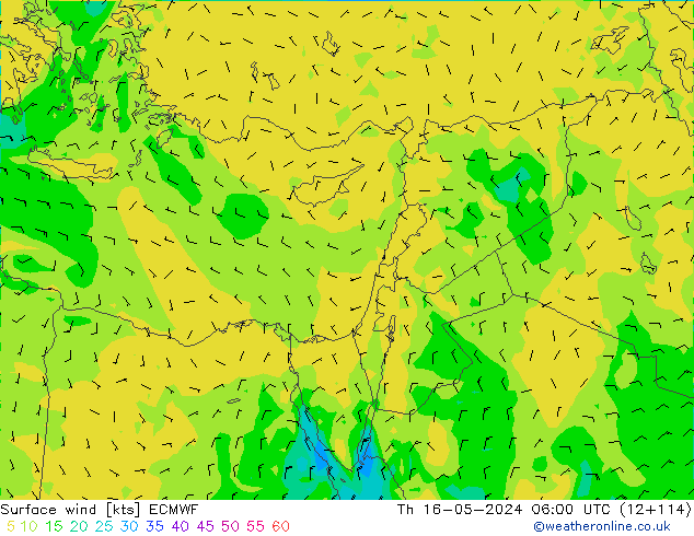 Surface wind ECMWF Th 16.05.2024 06 UTC