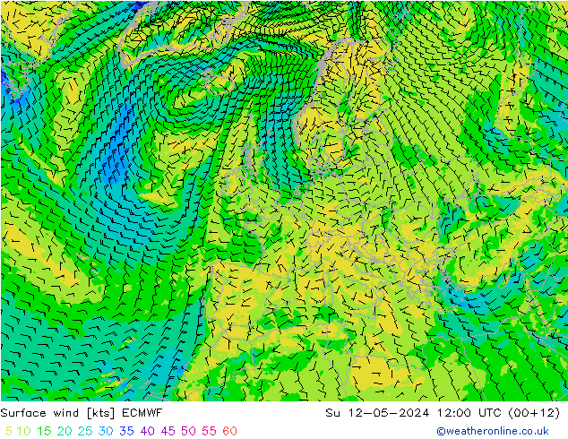 Surface wind ECMWF Su 12.05.2024 12 UTC