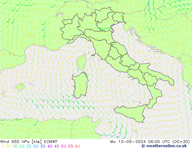 ветер 950 гПа ECMWF пн 13.05.2024 06 UTC