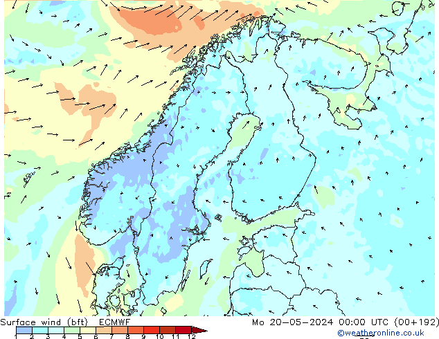 Surface wind (bft) ECMWF Mo 20.05.2024 00 UTC