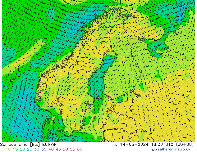 Surface wind ECMWF Tu 14.05.2024 18 UTC