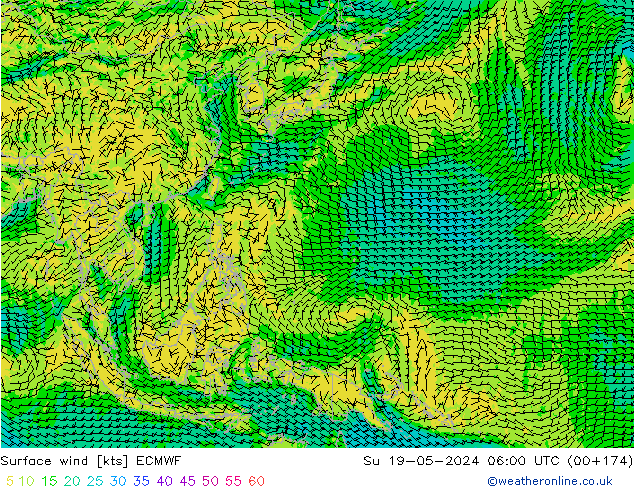 Surface wind ECMWF Ne 19.05.2024 06 UTC