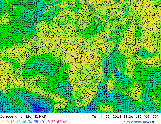 Surface wind ECMWF Tu 14.05.2024 18 UTC