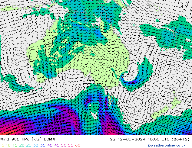 Wind 900 hPa ECMWF Su 12.05.2024 18 UTC