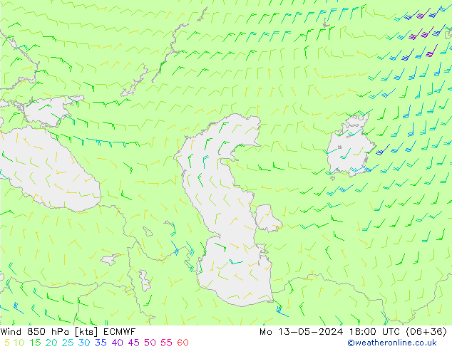 wiatr 850 hPa ECMWF pon. 13.05.2024 18 UTC