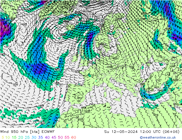 Prec 6h/Wind 10m/950 ECMWF 星期日 12.05.2024 12 UTC