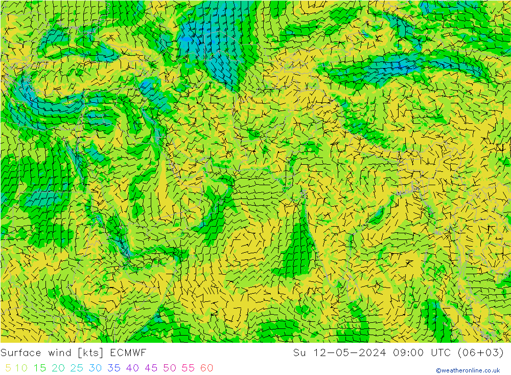 风 10 米 ECMWF 星期日 12.05.2024 09 UTC