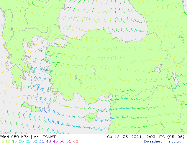Prec 6h/Wind 10m/950 ECMWF Su 12.05.2024 12 UTC