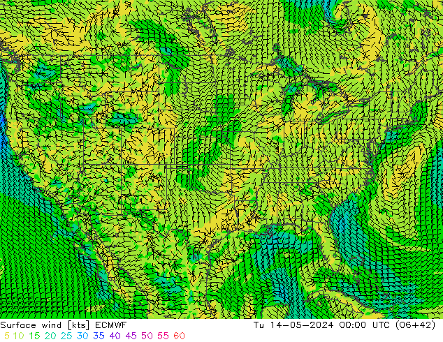 Surface wind ECMWF Tu 14.05.2024 00 UTC