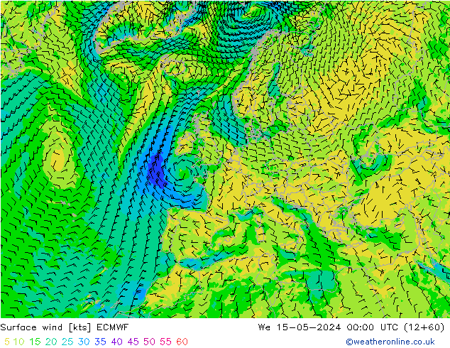Surface wind ECMWF We 15.05.2024 00 UTC