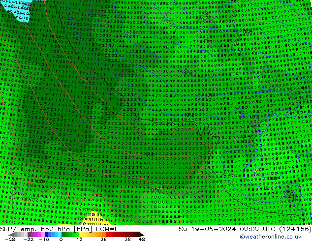 SLP/Temp. 850 hPa ECMWF Ne 19.05.2024 00 UTC