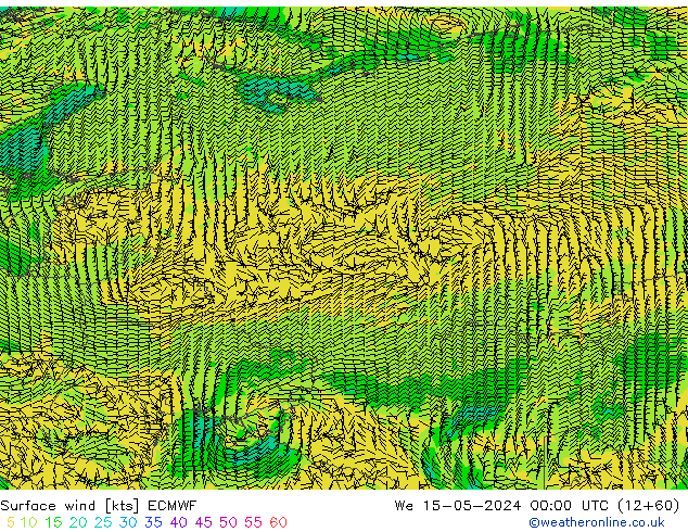  10 m ECMWF  15.05.2024 00 UTC