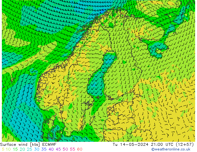 Surface wind ECMWF Tu 14.05.2024 21 UTC