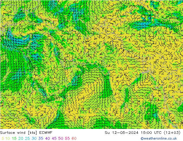 风 10 米 ECMWF 星期日 12.05.2024 15 UTC