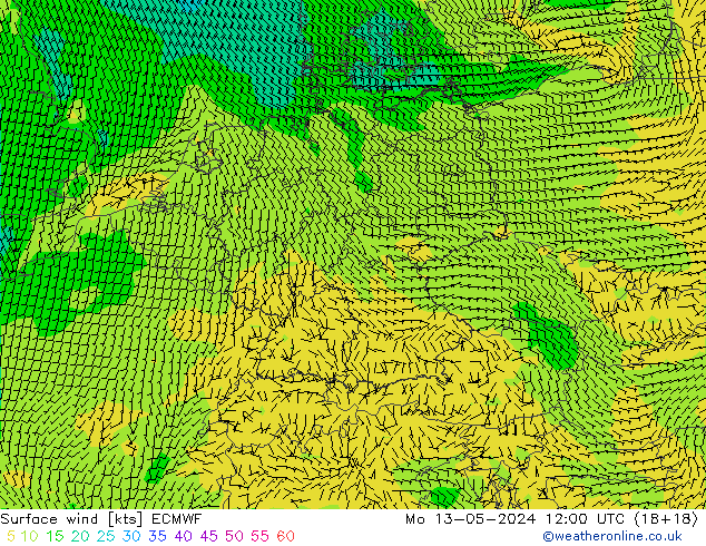  Mo 13.05.2024 12 UTC