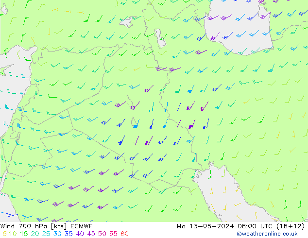 Rüzgar 700 hPa ECMWF Pzt 13.05.2024 06 UTC