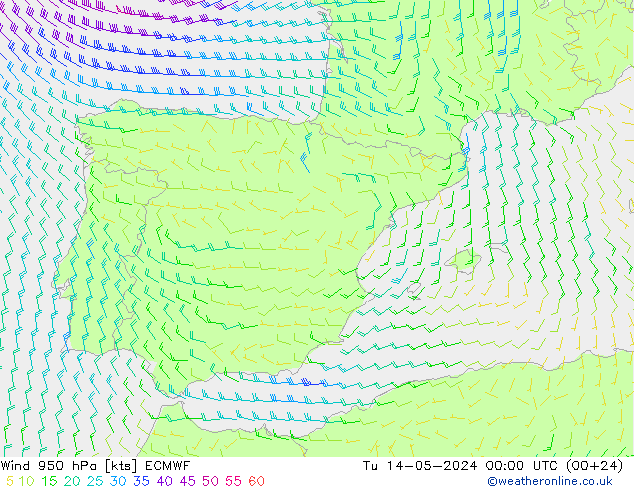 Wind 950 hPa ECMWF di 14.05.2024 00 UTC