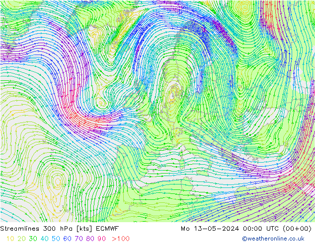 ветер 300 гПа ECMWF пн 13.05.2024 00 UTC