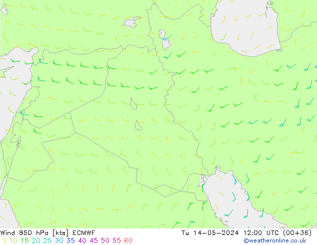 Wind 850 hPa ECMWF Út 14.05.2024 12 UTC