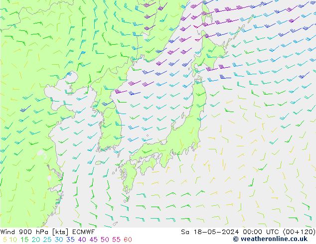 Wind 900 hPa ECMWF So 18.05.2024 00 UTC