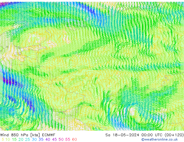 ветер 850 гПа ECMWF сб 18.05.2024 00 UTC