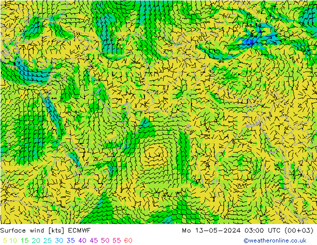 风 10 米 ECMWF 星期一 13.05.2024 03 UTC