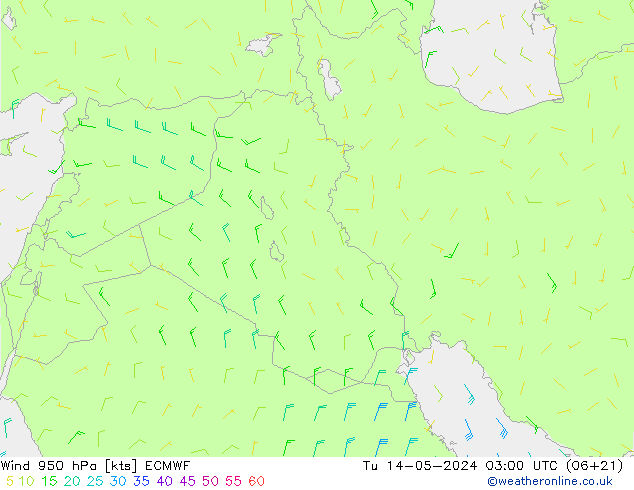 Rüzgar 950 hPa ECMWF Sa 14.05.2024 03 UTC