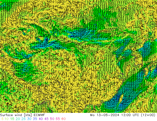 风 10 米 ECMWF 星期一 13.05.2024 12 UTC