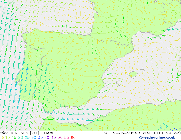 Rüzgar 900 hPa ECMWF Paz 19.05.2024 00 UTC