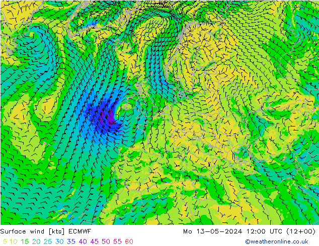 风 10 米 ECMWF 星期一 13.05.2024 12 UTC